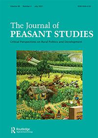 Rural revitalization, scholars, and the dynamics of the collective future in China. The Journal of Peasant Studies, 48(4), 853–874.